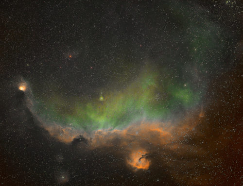 IC 2177(Seagull Nebula)